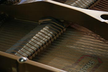 Close up of piano inside dark